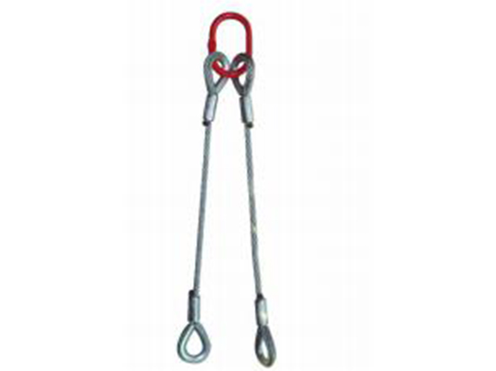 雙肢成套壓接索具LSJ06B-2 DOUBLE-LEG SWAGED JOINT SLING ASSEMBLIES (LSJ06B- -2)